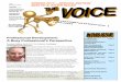 SPRING 2013 SPECIAL EDITION NEW PD & OTHER RULES · 2020-02-16 · The Voice Spring 2013 Special Edition Page 4 The revised rules focus on continuing education programs for professional