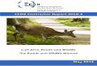 CEDR Contractor Report 2018-3 · 2018-06-01 · CEDR Contractor Report 2018-3 Call 2013: Roads and Wildlife The Roads and Wildlife Manual by Eugene OBrien (ROD-IS) Edgar van der Grift
