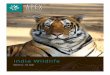 India Wildlife Safari | Brochure 2021 | Apex Expeditions · PDF file Assam, on the fertile plains of the Brahmaputra River. Land in Guwahati and continue by road to Kaziranga National