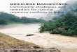 MIDCOURSE MANOEUVRES: Community strategies and remedies … · 2018-08-21 · Midcourse Manoeuvres: Community strategies and remedies for natural resource conﬂicts in India. 