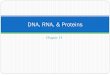 DNA, RNA, & Proteins · 2018-10-13 · DNA Replication 1. Proteins called helicases separate the 2 original DNA strands 2. Complimentary nucleotides are added to each strand by DNA
