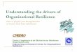 Understanding the drivers of Organizational Resilience · -re deploying in other activity OR building processus is based upon preventive or defensive strategies, by means of measure