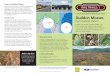Trav Duddon Mosses - IUCN Peatland Programme · Travelling to Duddon Mosses by train on the famous ... the Lakeland Fells and the sea—and if you arrive by rail ... will take about
