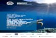 Towards sustainable blue infrastructure · Towards sustainable blue infrastructure finance: The need, opportunity and means to integrate Nature-based Solutions into coastal resilience