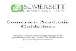 Somersett Aesthetic Guidelines · The Somersett Aesthetic Guidelines (Guidelines) are intended to provide guidance to property owners, Builders, Architects and Designers for all development