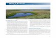 Russia - BirdLife Internationaldatazone.birdlife.org/.../Russia_(Asian).pdf · RUSSIA (Eastern) Arctic tundra in northern Russia is immensely rich in breeding waterbirds, in particular