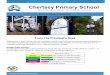 Chertsey Primary School · Willow Road, Springfield Phone: 02 4325 3963 Chertsey Primary School Newsletter 4. Ethan D. (3/4S) wrote a great Shining brightly, Irie L. (K-6F) Jai S