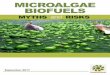 MICROALGAE BIOFUELS€¦ · 1 Microalgae Biofuels: Myths and Risks In mid-June 2017, ExxonMobil announced that together with biotechnology company Synthetic Genomics, it had achieved
