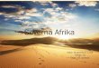 Severná Afrika - Severná Afrika Autor: StuparekováLucia Trieda: 7.A Škola: ZŠ Lachova Poloha Podnebie Povrch Vodstvo Ţivočíšstvo a rastlinstvo •Leţí na severe Afriky •Prechádza