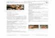 Javier Blasco-Zumeta 055 Bufo bufo (Anura, Bufonidae)monteriza.com/wp-content/uploads/anfibios/055.bufo-bufo.pdf · Atlas y Libro Rojo de los anfibios y reptiles de España. Dirección