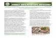 Forest Reclamation Advisory No. 10 November 2013 ... · reforestation may benefit mature forest wildlife in the short-term by creating more transitional forest-mine edges (feathered