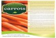 7 CARROTSflyr - web · 2019-09-03 · About – Primitive forms of the carrot date back to prehistoric times. It is believed that carrots originated in Afghanistan with cultivation