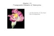 Chapter 13 Transposable Elements of Eukaryotes · Two different types of transposable elements A) Transposons with terminal inverted repeats (TIRs) transpose by a cut and past mechanism,