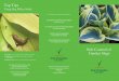 Crop Protection - slug brochure art:Layout 1 23/1/13 …• Parasitic nematodes (biological control agent) • Slug pellets. One solution commonly chosen by gardeners is slug pellets