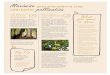 Maximise with better pollination 1 2 MIX & MATCH YOUR ... · Pollination agreements are drawn up with beekeepers to detail responsibilities and hive strengths (more than 30,000 bees