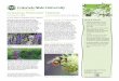 Creating Pollinator Habitat - Extension › docs › pubs › insect › 05616.pdf · • Pollinator species include bees, beetles, flies, moths, butterflies, hummingbirds, and bats