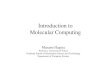 Introduction to Molecular Computing...Introduction to Molecular Computing Table of Contents: • Analysis of computational power of molecular reactions – Computational models ・Computability