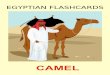 EGYPTIAN FLASHCARDS - WordPress.com · EGYPTIAN FLASHCARDS EGYPT MAP AND NILE RIVER. EGYPTIAN FLASHCARDS EGYPTIAN FOOD / KOSHARI. EGYPTIAN FLASHCARDS OASIS. EGYPTIAN FLASHCARDS THE