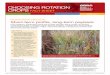 Choosing Rotation Crops - GRDC...CHOOSING ROTATION CROPS fACT SHeeT Short-term profits, long-term payback Crop rotations, particularly those that include nitrogen-fixing pulses, are