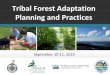 Tribal Forest Adaptation Planning and Practices · 2019-09-11 · Agriculture. Adaptation Workbook Cycle. Resources: Climate Change Assessments. 1. DEFINE . area of interest, management
