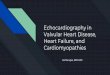 Echocardiography in Valvular Heart Disease, Heart Failure ... › sites › default › files › uploads › SerajianEchocardiography.pdfSevere vc > 0.7 volume > 60 rf >