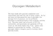 Glycogen Metabolism - University of Texas at Austinkitto.cm.utexas.edu/courses/ch395g/fall2009/secure/...Glycogen Metabolism We have dealt with glucose catabolism and resynthesis and