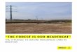 THE FOREST IS OUR HEARTBEAT” - Amnesty …...“THE FOREST IS OUR HEARTBEAT” THE STRUGGLE TO DEFEND INDIGENOUS LAND IN MALAYSIA Amnesty International 6 1. EXECUTIVE SUMMARY In