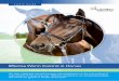 Effective Worm Control in Horses - Larkmead · 2020-05-06 · Effective Worm Control in Horses In conjunction with Professor Chris Proudman The days of blanket interval worming with