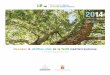 Observatoire régional de la forêt méditerranéenne Un Observatoire pour éclairer les politiques forestières Depuis sa création en 2001, l’Observatoire régional de la forêt