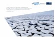The future of Arctic enterprise: Long-term outlook and ... · The Arctic Ocean, at 14.3 million km2, is the smallest of the world’s five oceans [1]. The Arctic has permanent ice