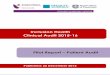 Inclusion Health Clinical Audit 2015-16 + Clinical Audit/22b. Patient report... · Inclusion Health Clinical Audit 2015 Patient Audit Pilot Report Summary of pilot patient audit findings