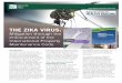 THE ZIKA VIRUS - storage.googleapis.com · The Zika virus disease spreads to people primarily through the bite of an infected mosquito. The symptoms include fever, rash, joint pain