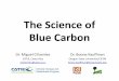 The Science of Blue CbCarbon Dr. Miguel Boone Kauffman...Soil‐Carbon for first meter ofdepthonly Oceanic Estuarine Mangroves (Total depth = several meters) Mangroves All Tropical