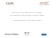 Précarité et nouvelles formes d’emploi : Les saisonniers du tourisme en … · 2009-11-02 · Précarité et nouvelles formes d’emploi : Les saisonniers du tourisme en Rhône-Alpes
