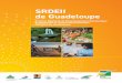 SRDEII de Guadeloupe - AdCF · politique de référence pour la région Guadeloupe en matière d’enseignement supérieur, recherche et innovation pour la période 2016-2021. Compte