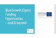 Blue Growth Funding Opportunities - 2018 and beyond...H2020 –Blue Growth Call 2018 - 2020 The Blue Growth Call aims at sustainably harvesting the potential of resources from seas,