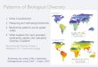 Patterns of Biological Diversity - Weebly · Patterns of Biological Diversity 1. What is biodiversity? 2. Measuring and estimating biodiversity 3. Biodiversity patterns across spatial