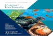 SYNTHESIS SUMMARY 7 Marine biodiversity · 2: Foster resilience through habitat repair and protection Building resilience and adaptive capacity in species, habitats and human populations