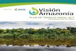 PROGRAMA REM COLOMBIA › content › ... · 2018-08-15 · REDD+ Reducción de Emisiones de gases de efecto invernadero de Deforestación y Degradación de bosques, conservación