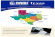 FINAL NAMI Texas 2014 Election Newsletter3394qh4fg22b3jpwm94480xg-wpengine.netdna-ssl.com/... · November 1, 2014 and mailed to: 2014 Election, NAMI Texas, Fountain Park Plaza III,