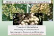 Aflatoxin and its Control in Pistachios › sites › PistachioShortCourse › files › ... · 2017-11-28 · Mature fruit cluster Aflatoxin and its Control in Pistachios Themis