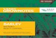 BARLEY - GRDC A 1 2 3 4 5 6 7 8 9 10 11 12 13 14 15 16 17 18 SECTION 7 BArley - Insect control Know