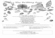 December, 2008 Vol. 14, No. 3 THE DRIFTING SEED A ... - Dr. Blair and Dawn Witherington¢â‚¬â„¢s fantastic