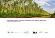 Towards Large-Scale Commercial Investment in African ... · Towards Large-Scale Commercial Investment in African Forestry ... taken on further importance due to the recent focus on