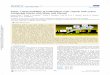 Vapor Liquid Equilibria of Imidazolium Ionic Liquids with ...path.web.ua.pt/publications/acs.jpcb.  · PDF file Vapor−Liquid Equilibria of Imidazolium Ionic Liquids with Cyano 
