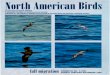 INCORPORATING FIELD NOTES A QUARTERLY JOURNAL OF ORNITHOLOGICAL RECORD · 2015-03-04 · incorporating field notes a quarterly journal of ornithological record published by the american