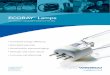 ECORAY Lamps - Xylem Inc. · ECORAY lamps alone reduce energy consumption by up to 25%, but together with ECORAY ballasts, you can save even more1,2. ... Germany, as an authorized
