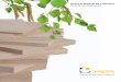 Products and Applications - richwise.com.au...Products and Applications The world leader in birch plywood. annual production of wood based panels thicknesses and sizes birch veneer