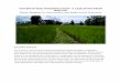 SYSTEM OF RICE INTENSIFICATION - sji.bt · System of Rice Intensification (SRI) is a methodology aimed at increasing the yield of rice ... of Bhutan, and Mahesh Ghimire, of the Renewable