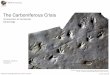 The Carboniferous Crisis - Indiana University 1...1. Vertebrate morphology, functional analysis, and evolution 2. Fossil vertebrate groups and its earth systems context 3. Paleobiology: